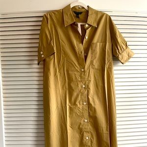 Classic knee length shirt dress